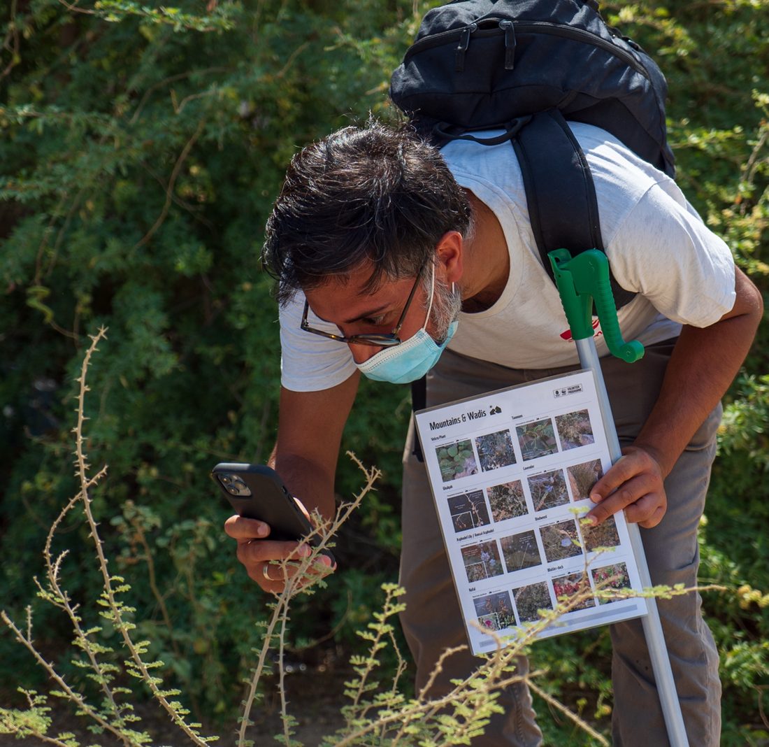 Participant recording species in the field